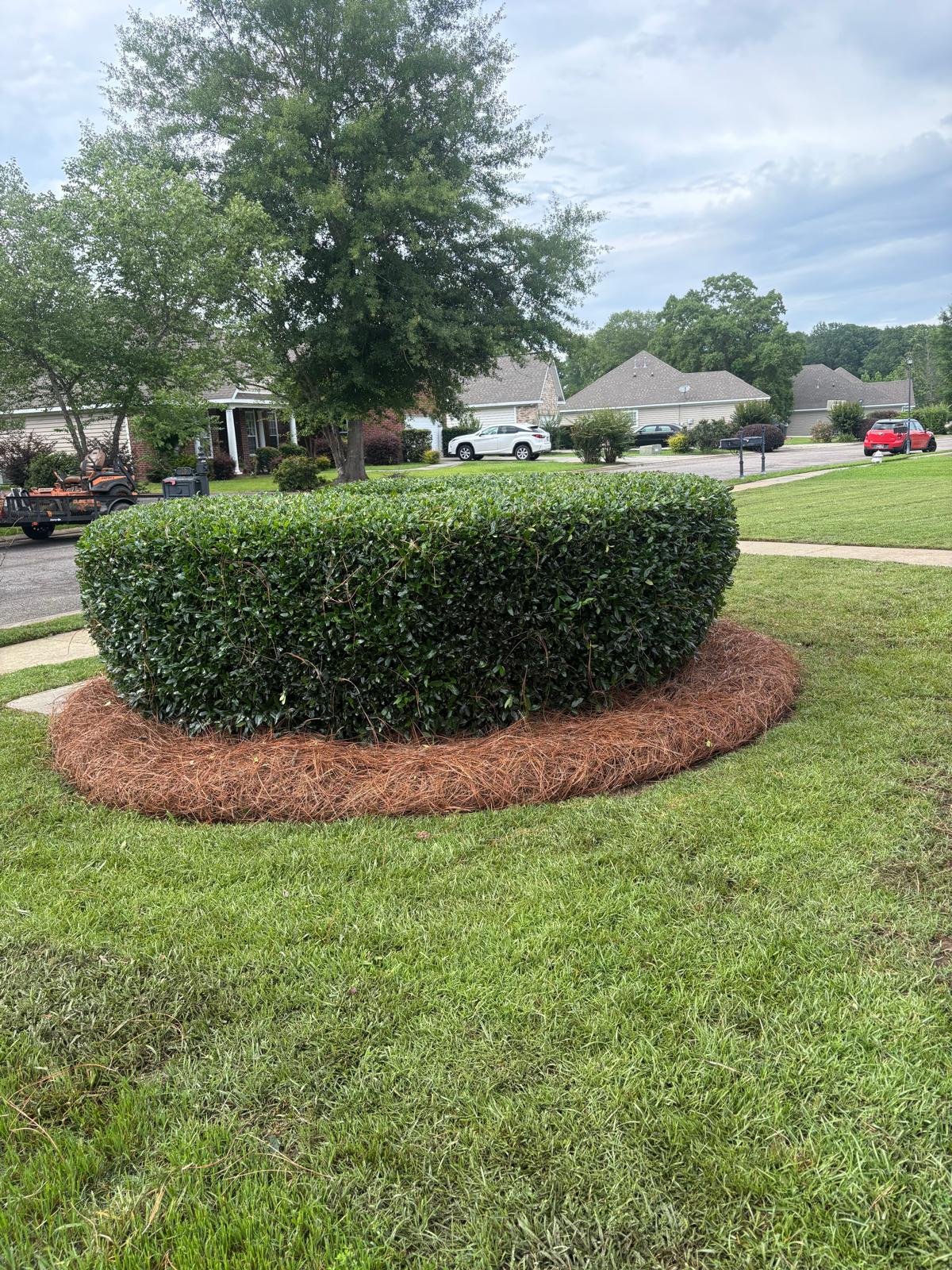 Completed pine straw installation project